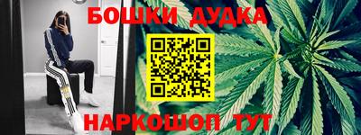 молекула духа Новодвинск