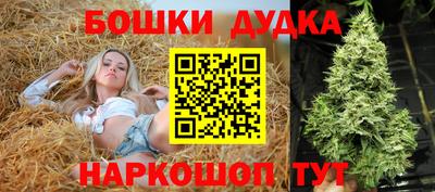 молекула духа Новодвинск