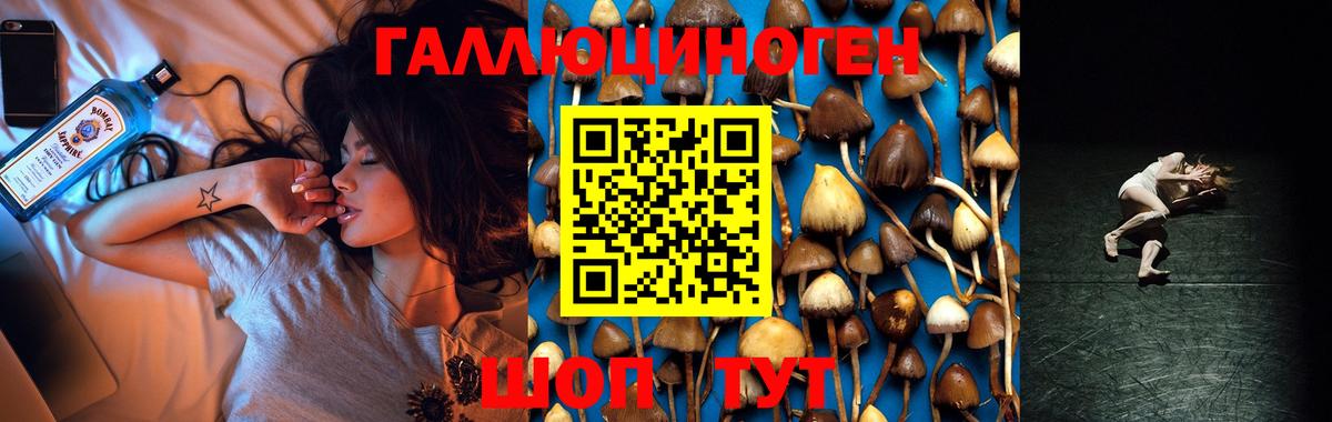 Урай  Галлюциногенные грибы Psilocybe  Вход с VPN 